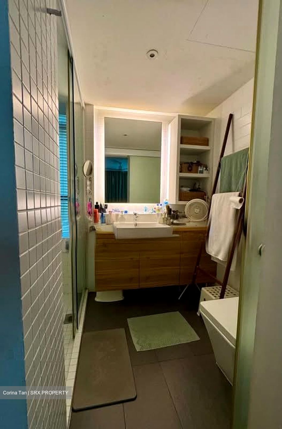 The Carpmaelina (D15), Condominium #567712051